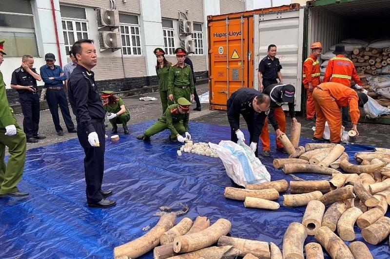 Phòng, chống rửa tiền trong hoạt động buôn bán trái phép động vật hoang dã