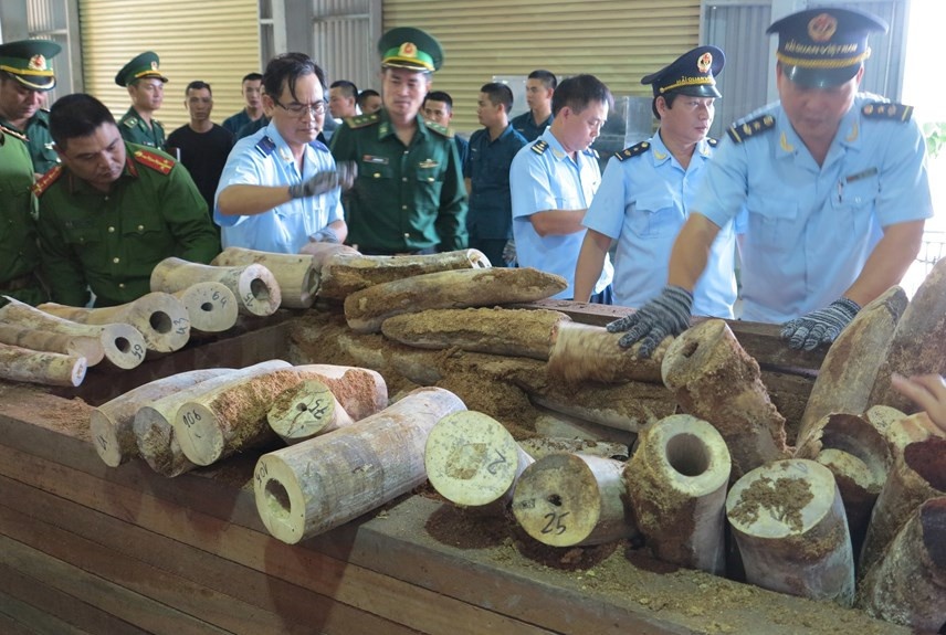 Phòng, chống rửa tiền trong hoạt động buôn bán trái phép động vật hoang dã