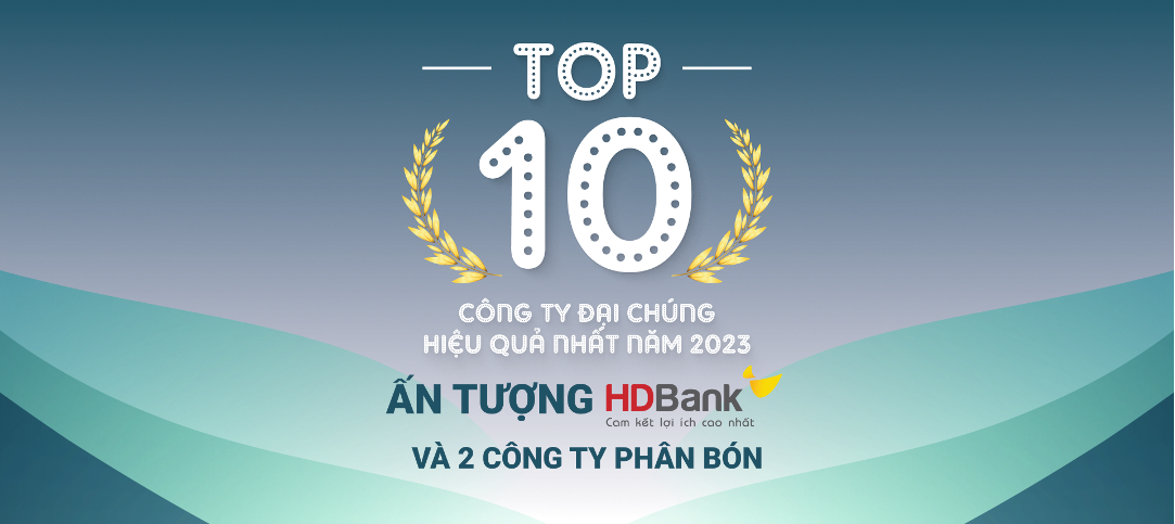 TOP 10 công ty đại chúng hiệu quả nhất năm 2023: “Gọi tên” HDBank, Đạm Phú Mỹ và Hóa chất Đức Giang