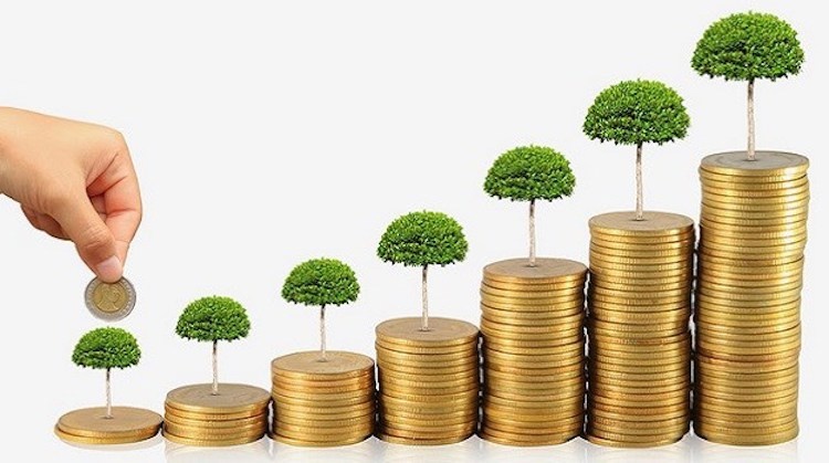 Chuyên gia:  Cần xem xét thành lập ngân hàng đầu tư xanh