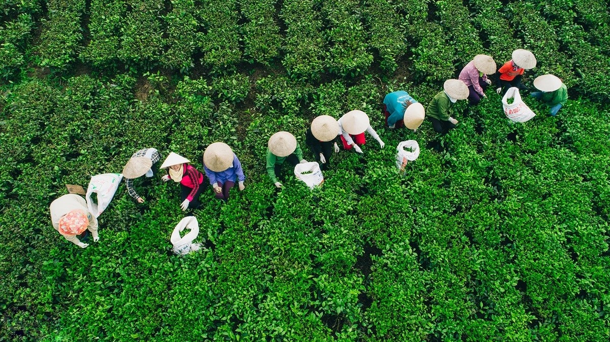 Du lịch nông thôn có rất nhiều tiềm năng để khai thác.