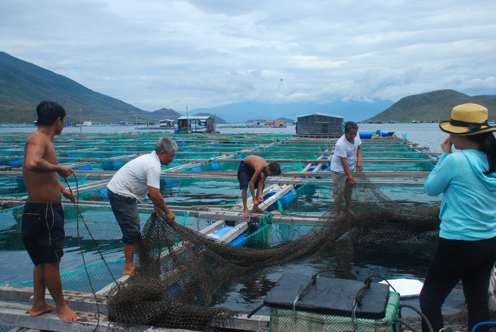 Thành lập Quỹ hỗ trợ phát triển nghề cá Khánh Hòa