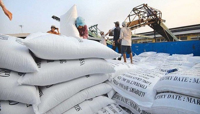 Doanh nghiệp thu mua, xuất khẩu gạo:  Không tỉnh táo, “đu đỉnh” sẽ dẫn đến “già néo đứt dây”