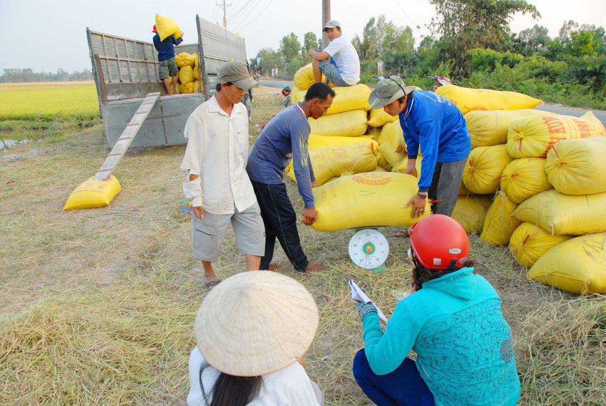 Tỷ suất lợi nhuận của ngành Nông nghiệp đang tiến đến điểm bão hòa.