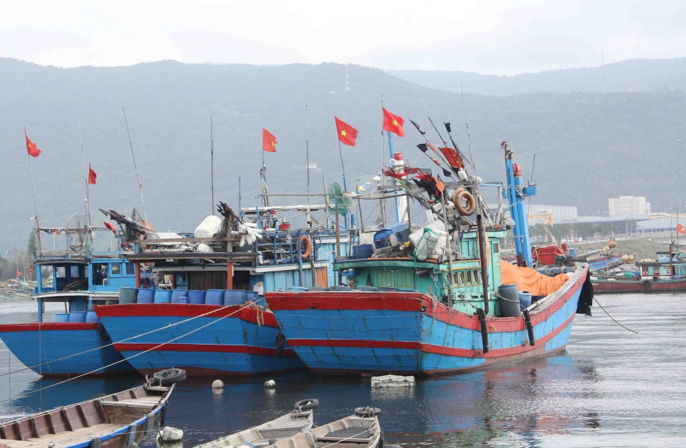 Miền Trung nước rút gỡ “thẻ vàng” thủy sản