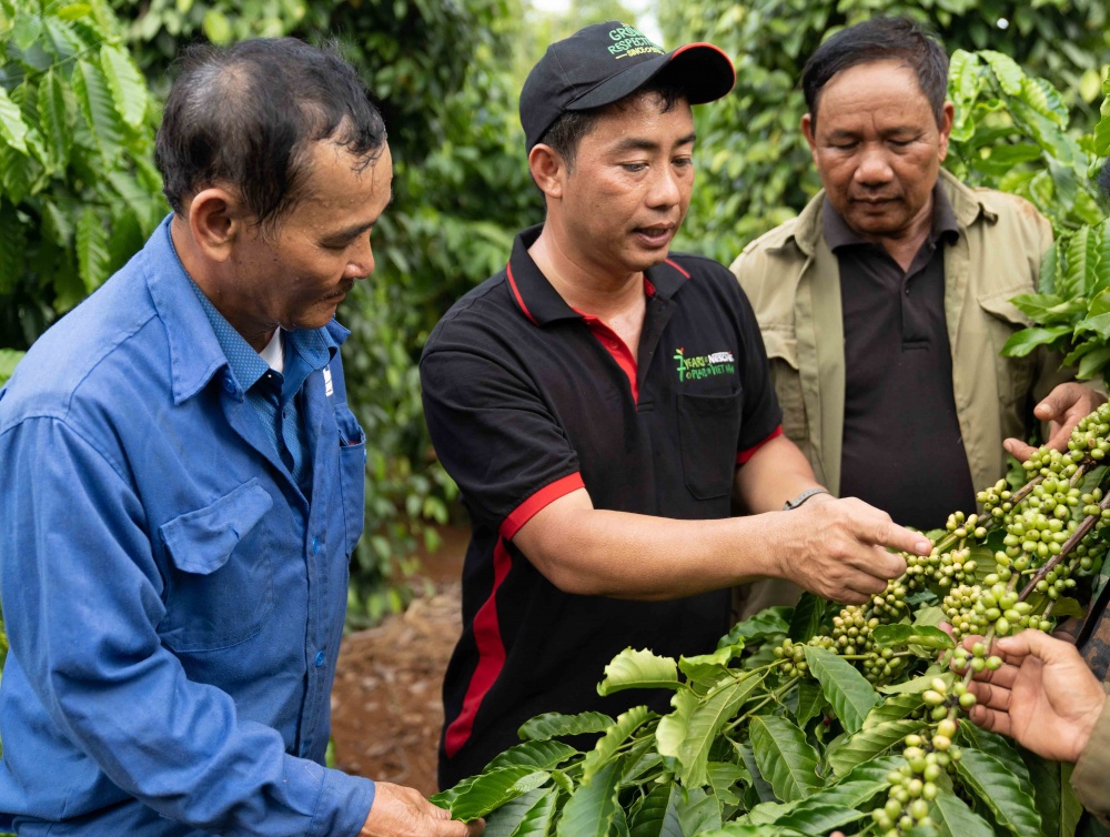 Cán bộ của Nestlé Việt Nam chia sẻ kỹ thuật canh tác cà phê bền vững với người nông dân tham gia dự án Nescafé Plan 
