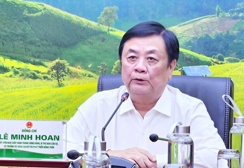 Giải pháp nào để phát triển ổn định ngành hàng sầu riêng Việt Nam