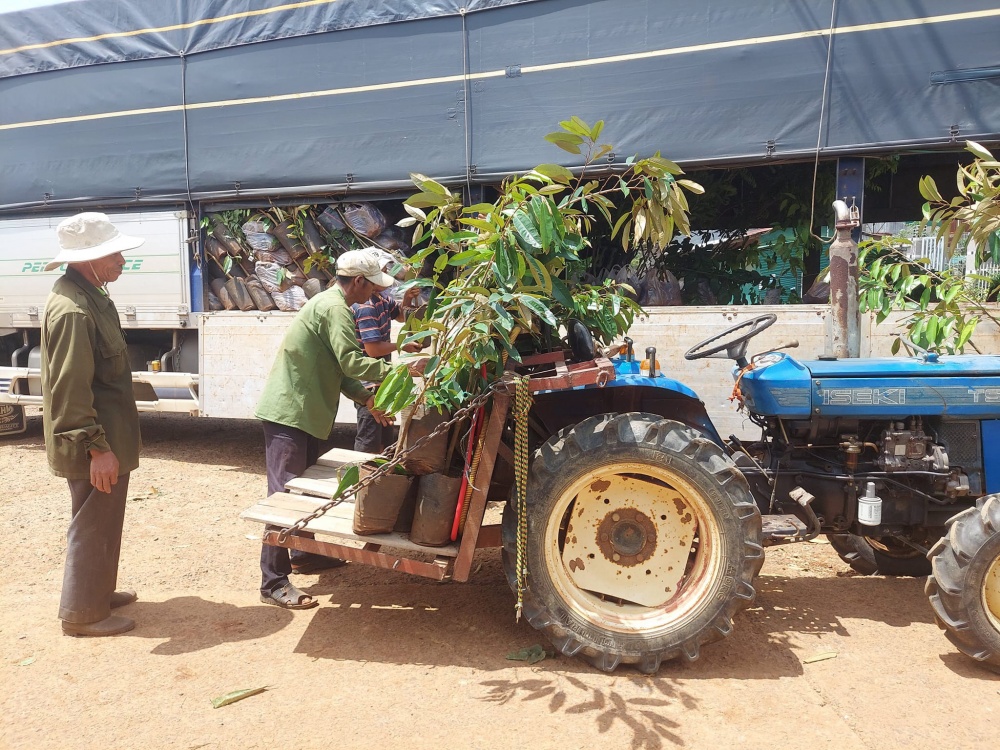 Người nông dân nhận cây giống trong dự án “Canh tác cà phê bền vững theo mô hình nông lâm kết hợp” chính thức khởi động tại Việt Nam vào tháng 6_2023_hinh 2