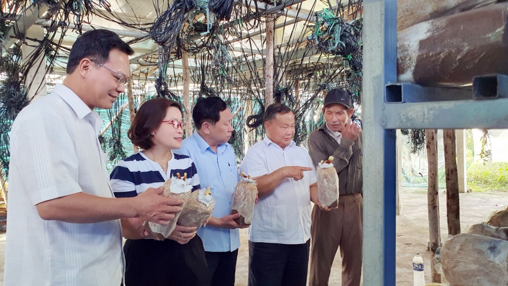 Đà Nẵng: Đẩy mạnh cơ cấu sản xuất nông nghiệp ứng dụng công nghệ cao