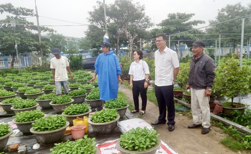 Đà Nẵng: Đẩy mạnh cơ cấu sản xuất nông nghiệp ứng dụng công nghệ cao