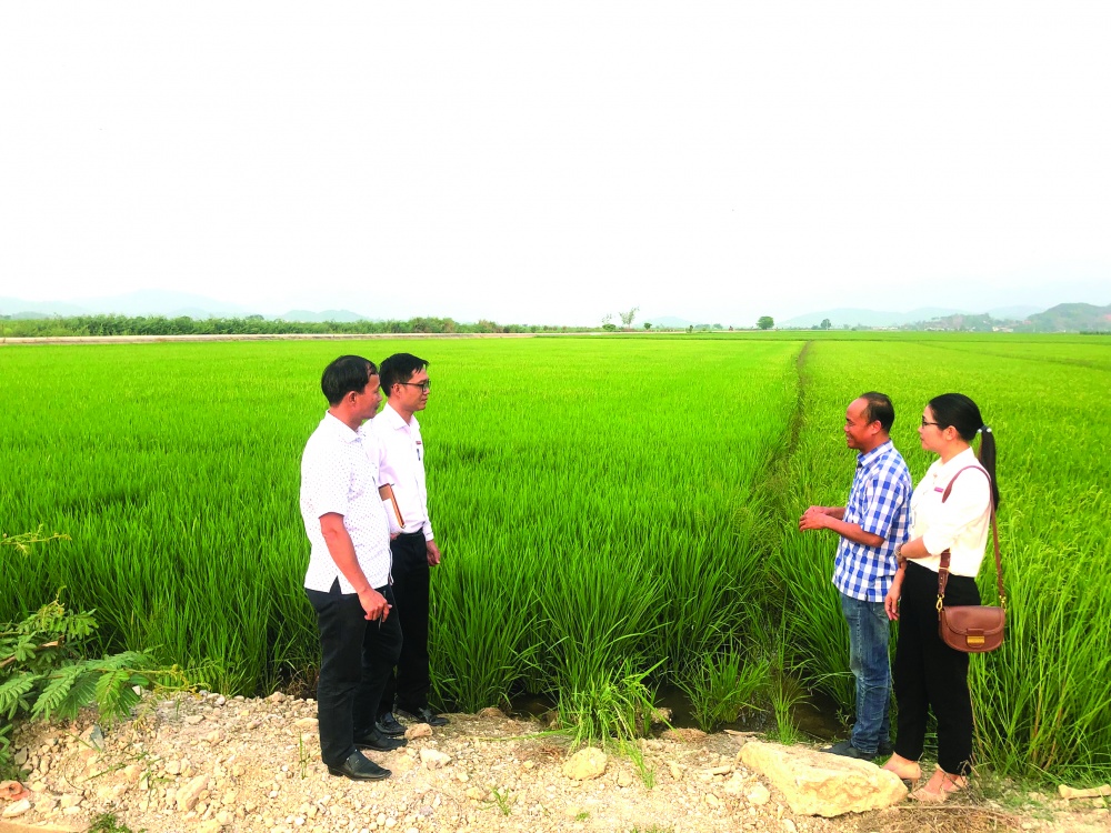 Các ngành, địa phương cần có sự phối hợp để tháo gỡ khó khăn, vướng mắc, hỗ trợ HTX phát triển ổn định