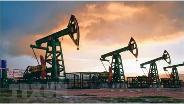 Sản lượng dầu của OPEC vẫn tăng dù Saudi Arabia cắt giảm mạnh | Kinh doanh | Vietnam+ (VietnamPlus)