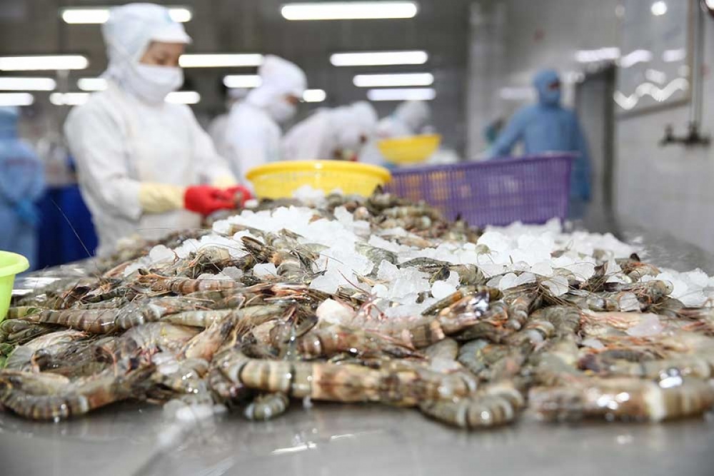 Thu hút đầu tư vào nông nghiệp công nghệ cao