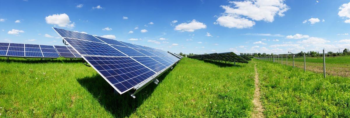 Các nhà sản xuất năng lượng mặt trời ghi nhận sự dịch chuyển về phía Bắc.