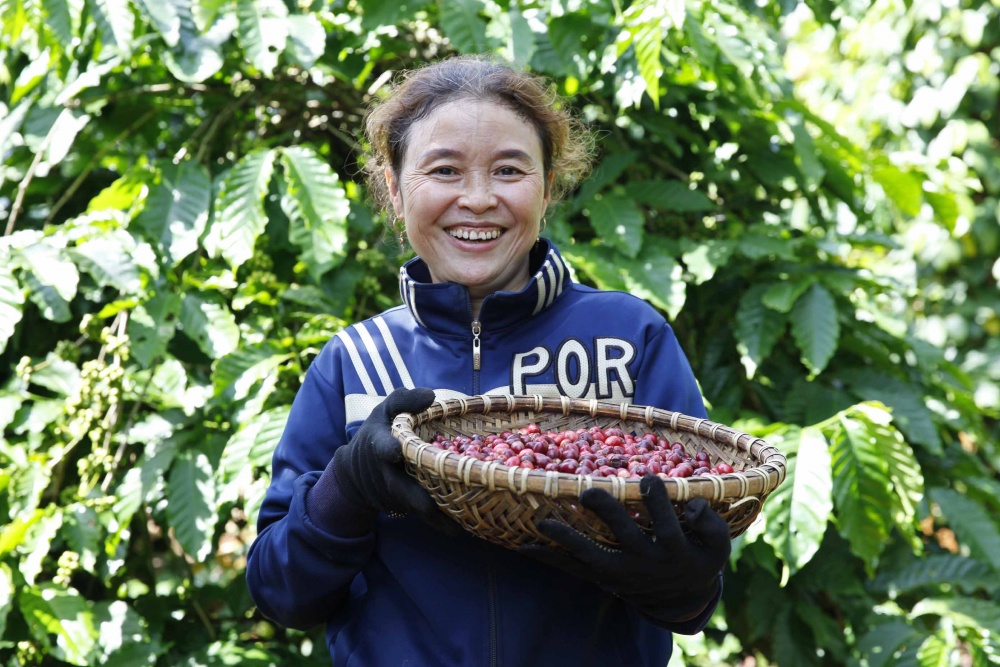 NESCAFÉ Plan góp phần nâng cao vai trò của phụ nữ trong canh tác cây cà phê_hình 1