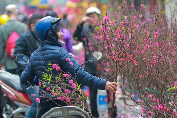 Trình Chính phủ phương án nghỉ Tết Âm lịch và Lễ Quốc khánh năm 2024 | Xã hội | Vietnam+ (VietnamPlus)