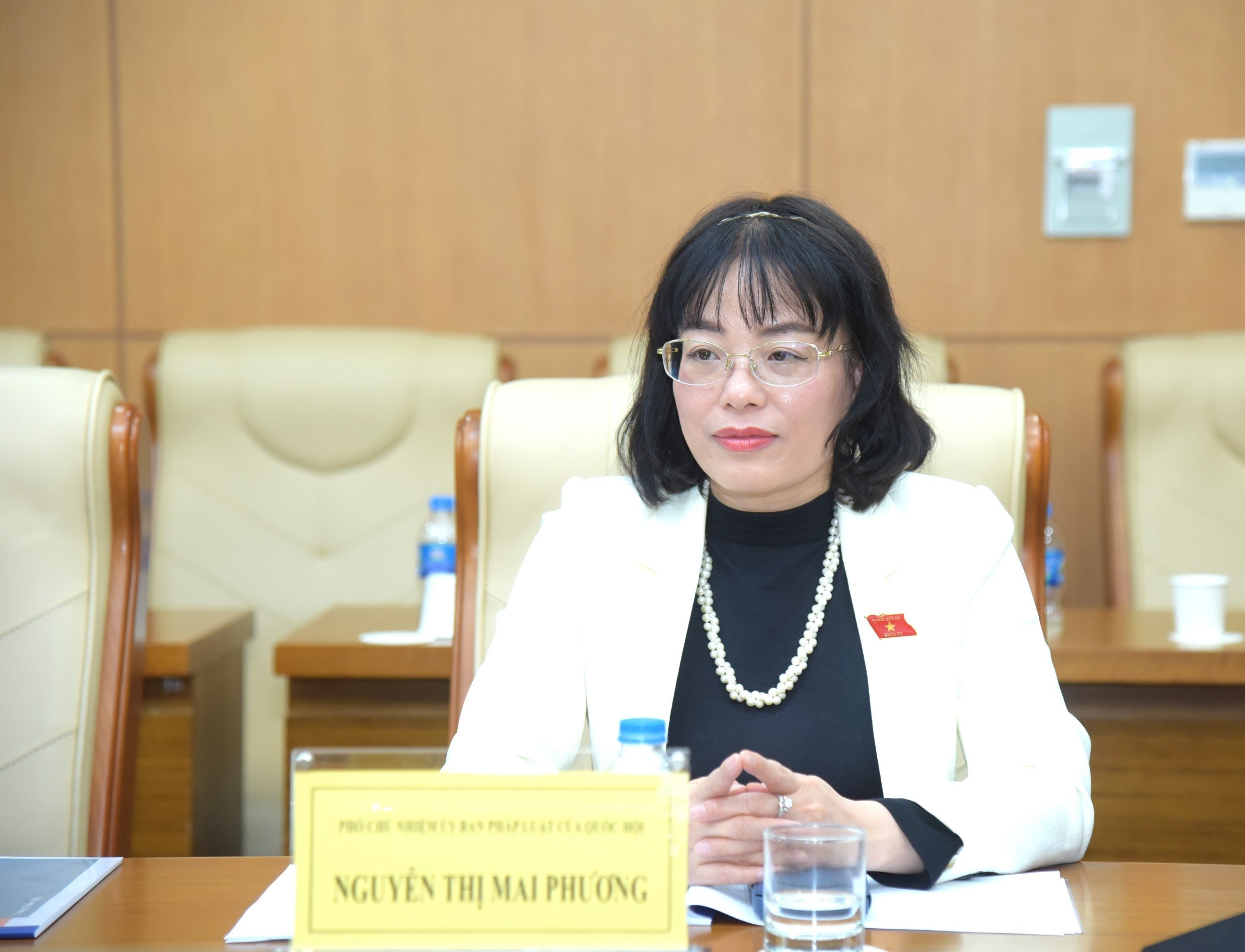 Bà Nguyễn Thị Mai Phương, Phó Chủ nhiệm Ủy ban Pháp luật của Quốc hội