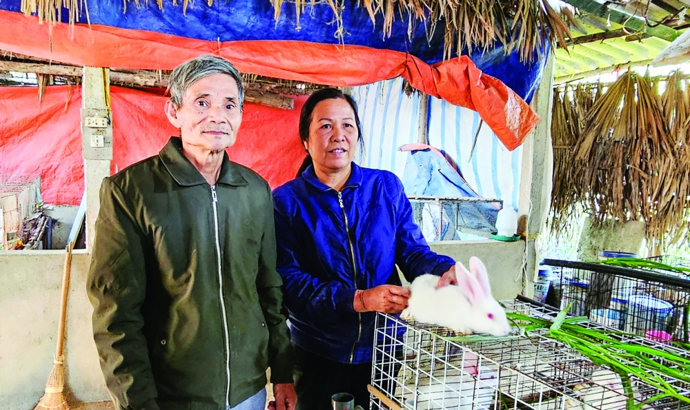 Vợ chồng ông Phạm Hữu Tường - một trong những hộ gia đình đang vay vốn từ  NHCSXH - đã phát triển chăn nuôi nhờ vay vốn chính sách