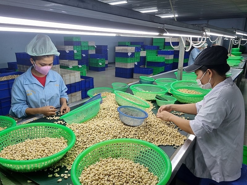 Xuất khẩu hạt điều nhân đạt trên 3,6 tỷ USD Xuất khẩu hạt điều nhân đạt trên 3,6 tỷ USD
