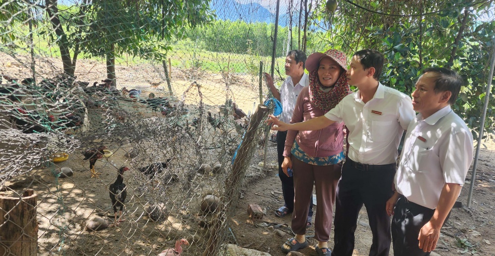 Mô hình vay vốn Agribank đầu tư nuôi gà cùa bà bà Lê Thị Hồng Phấn ở xã Nghĩa Thuận 