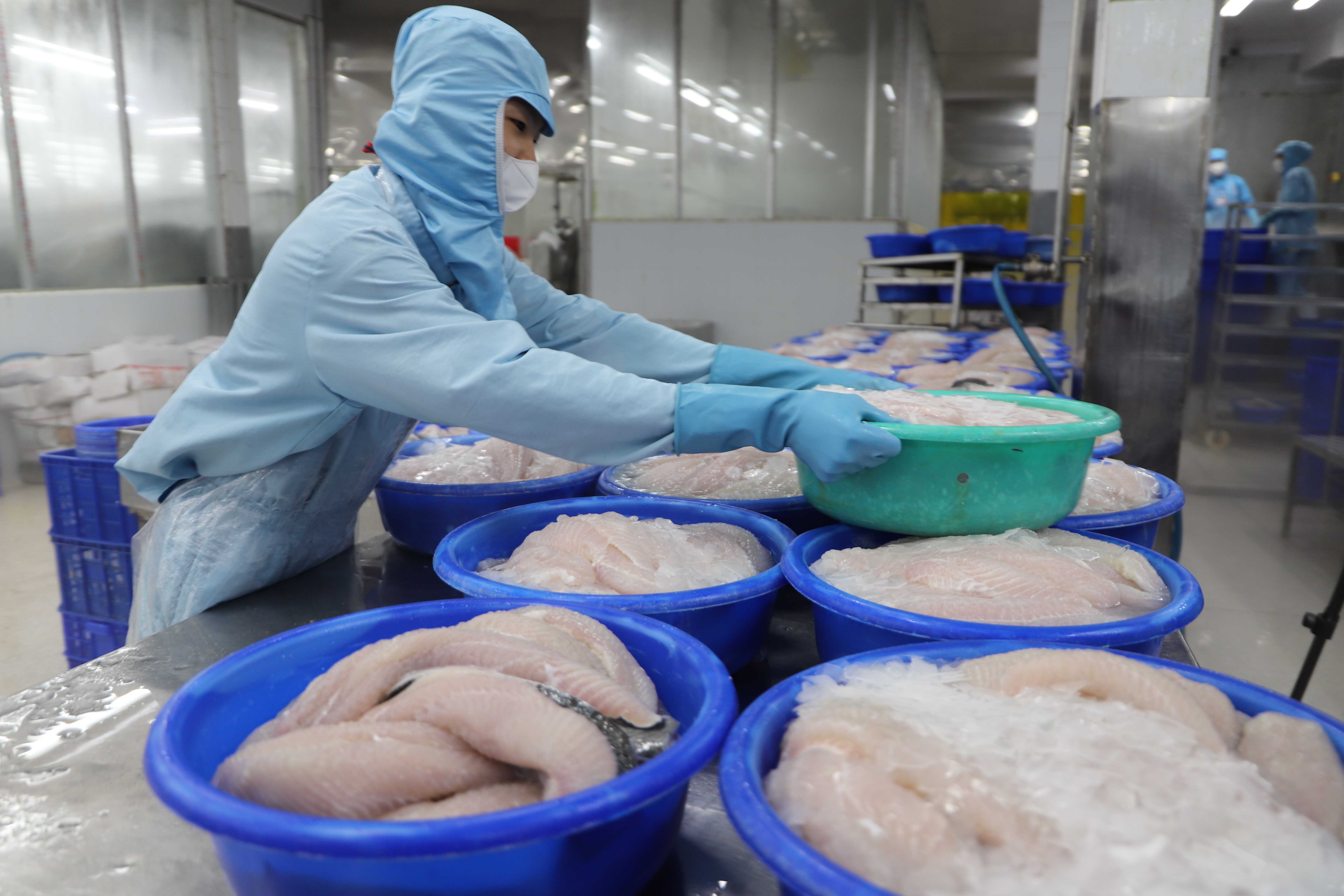 Xuất khẩu tăng trưởng góp phần quan trọng cải thiện cán cân vãng lai của Việt Nam trong năm 2023 - Ảnh: Đình Hải