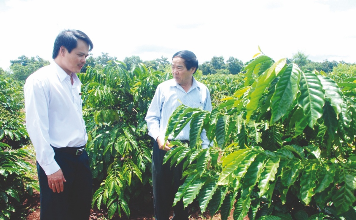 Ngành nông nghiệp Đắk Lắk cần tiếp tục đẩy mạnh cơ cấu lại theo hướng phát triển nông nghiệp xanh, hiện đại