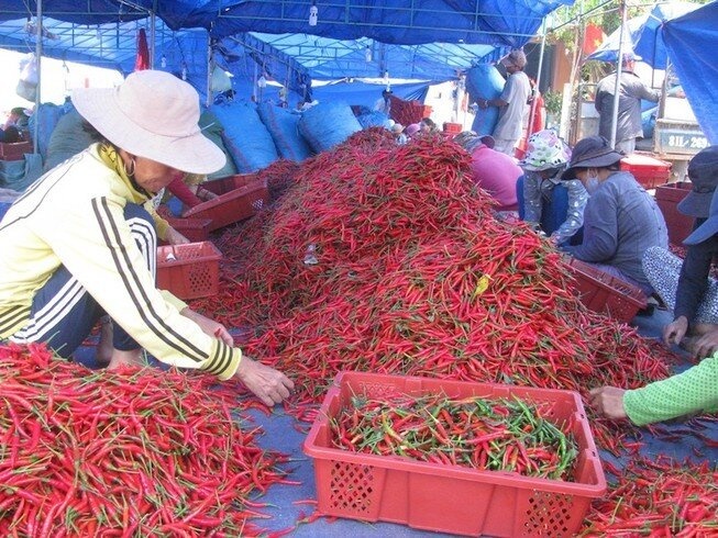 Xuất khẩu ớt tăng đột biến
