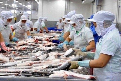 Xuất khẩu cá tra hướng đến mục tiêu 2 tỷ USD năm 2024