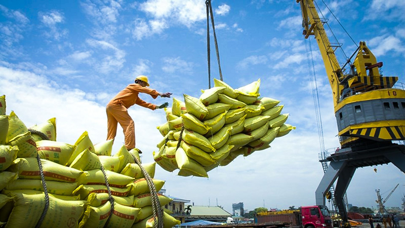 Năm 2023, xuất khẩu gạo Việt Nam đạt hơn 8,1 triệu tấn