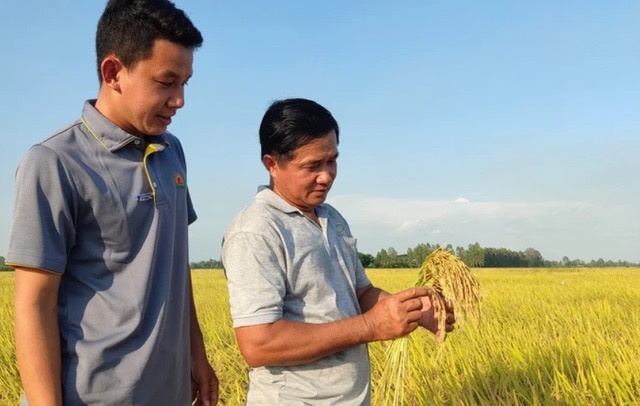 Hợp tác công tư thúc đẩy đề án 1 triệu ha lúa gạo chất lượng cao