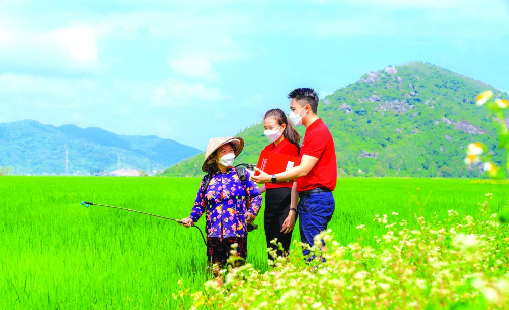 Nguồn vốn cho tam nông đang nở hoa kết trái ở Phú Yên