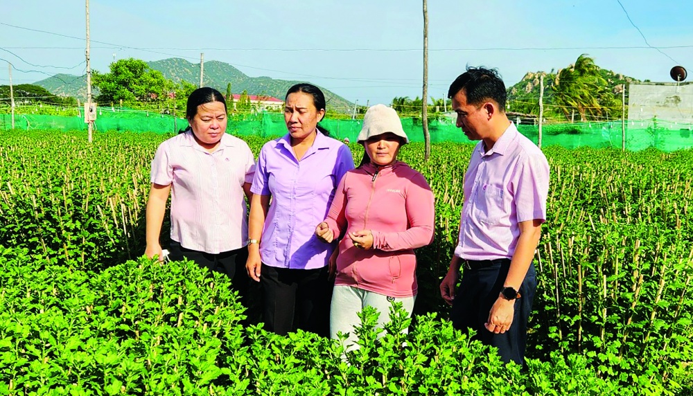 Nguồn vốn tín dụng ưu đãi đã và đang phát huy hiệu quả ở Ninh Thuận