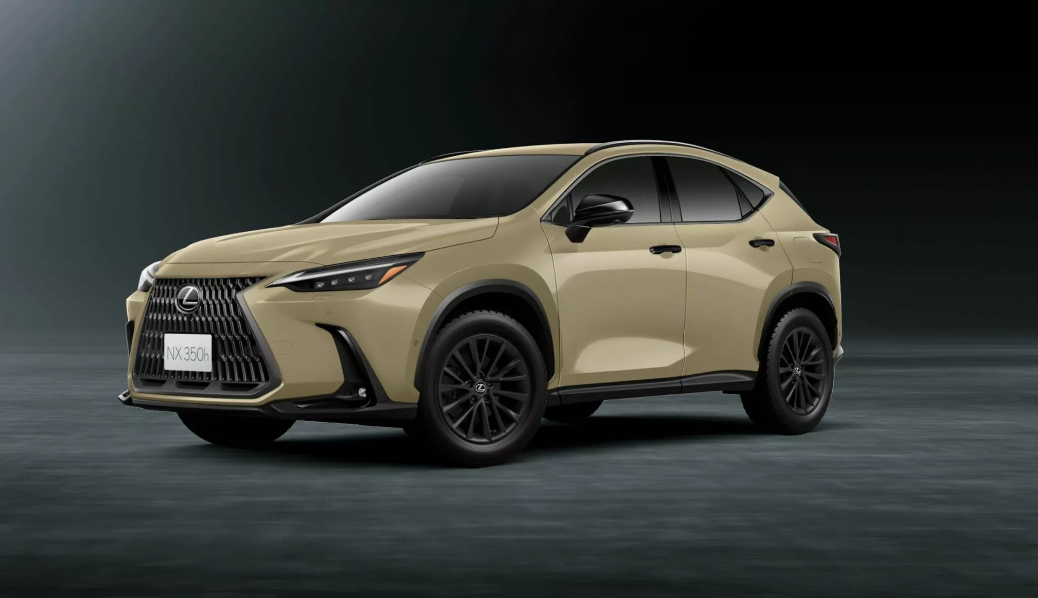 https://cdn.thoibaonganhang.vn/stores/news_dataimages/2024/032024/04/07/2024-lexus-nx-overtrail-1-2048x1-1709362709791188426218820240304075605.5709670.jpg