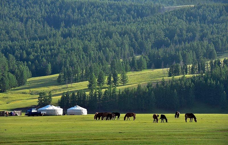 Chính phủ Mông Cổ tiến hành nhiều biện pháp để kích cầu du lịch sau đại dịch