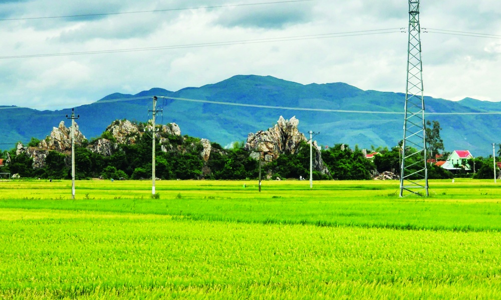 Sản xuất lúa gạo trong nước đang đứng trước những cơ hội lẫn thách thức