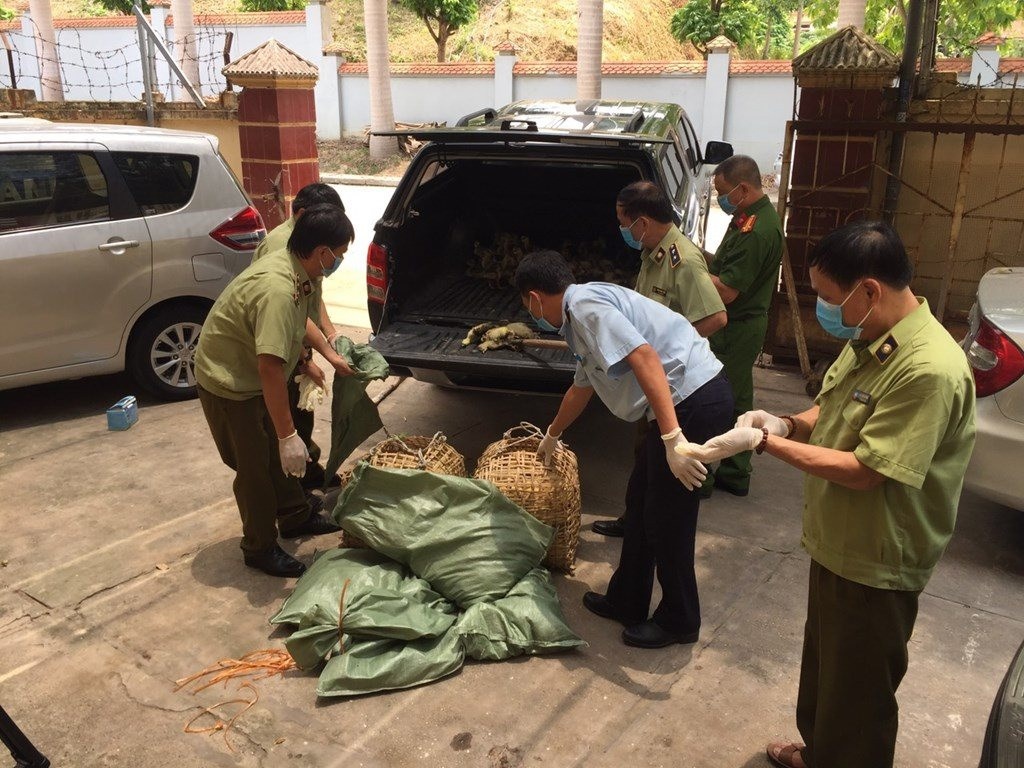 Cần tăng cường các biện pháp kiểm dịch, kiểm tra chất lượng và số lượng các cửa khẩu được phép nhập khẩu vật nuôi sống vào Việt Nam.