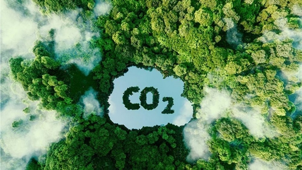 Thị trường tín chỉ carbon: Cơ hội đi cùng thách thức