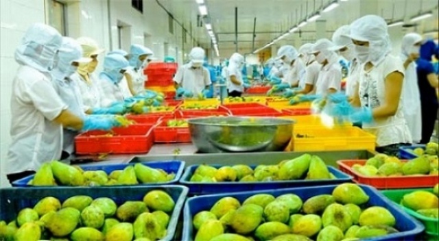 Dự báo năm 2024, xuất khẩu rau quả và trái cây của Việt Nam có thể đạt 6,2-6,5 tỷ USD. 