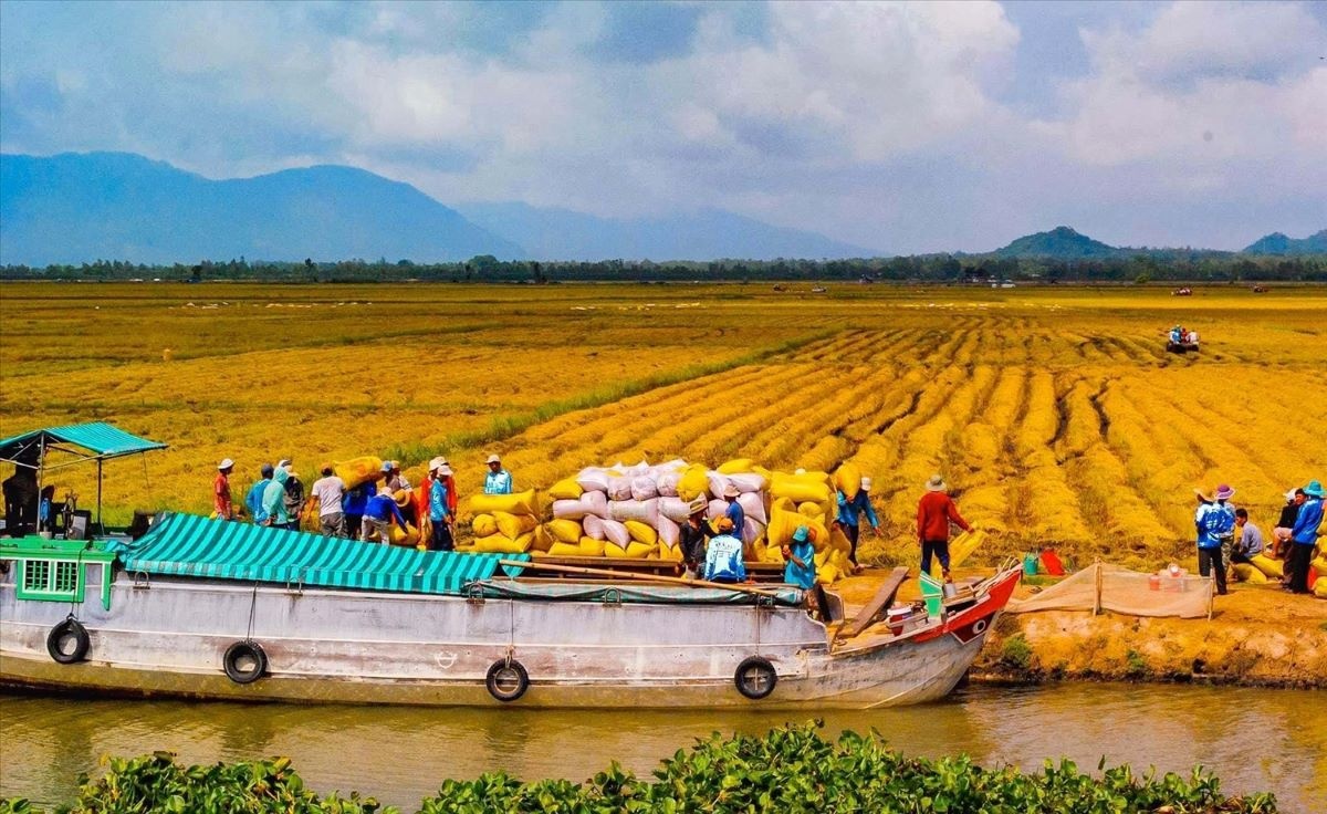 ĐBSCL của Việt Nam có thể nằm dưới mực nước biển vào cuối thế kỷ nếu không có các hành động trên toàn lưu vực sông.