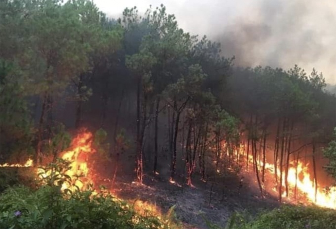 Thủ tướng chỉ đạo quyết liệt các biện pháp phòng, chống cháy rừng