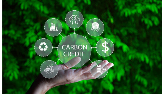 Nghiên cứu thiết lập hệ thống đăng ký quốc gia về tín chỉ carbon