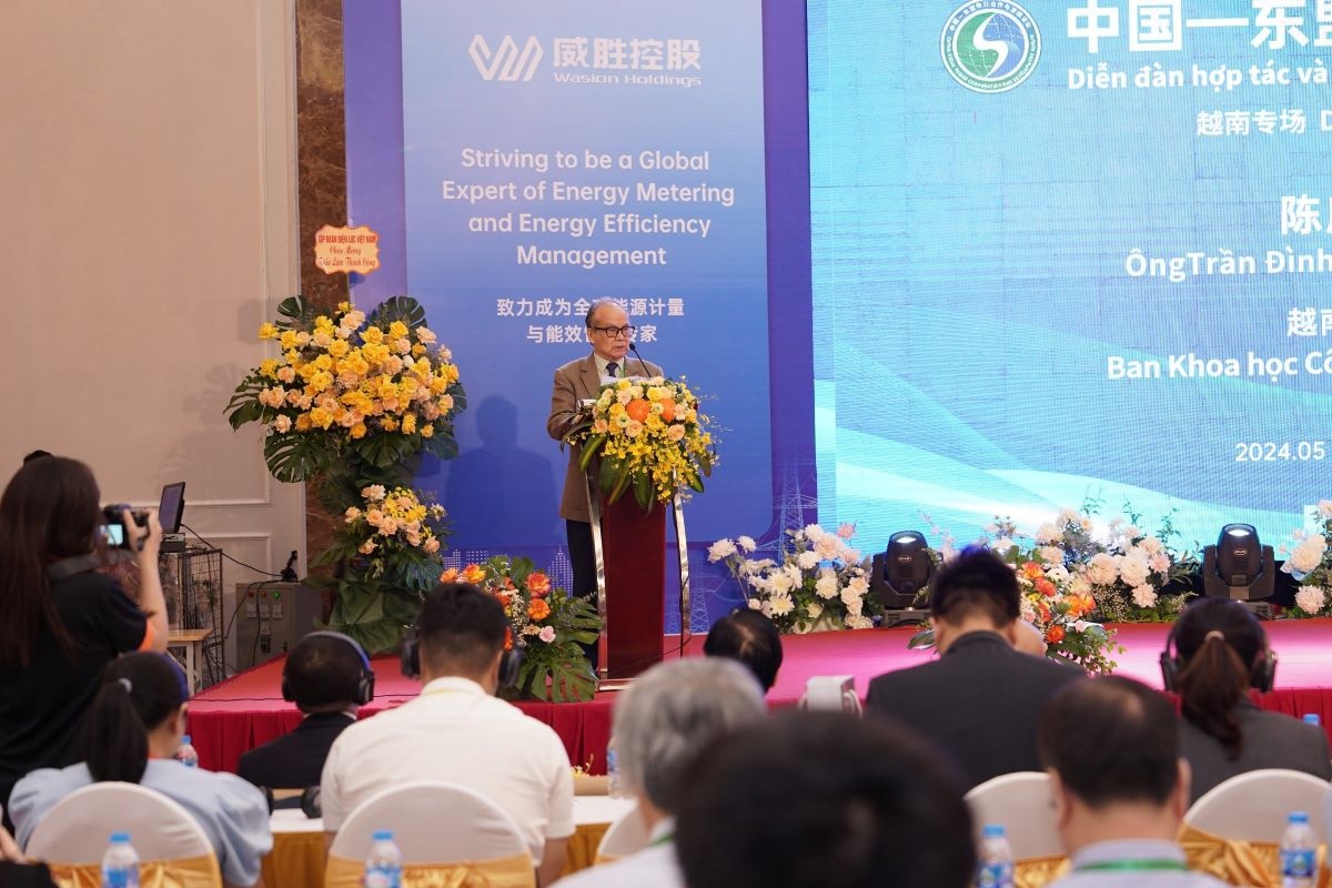 Giáo sư, Viện sĩ Trần Đình Long - chuyên gia tư vấn độc lập (Hội Điện lực Việt Nam) phát biểu tại diễn đàn.