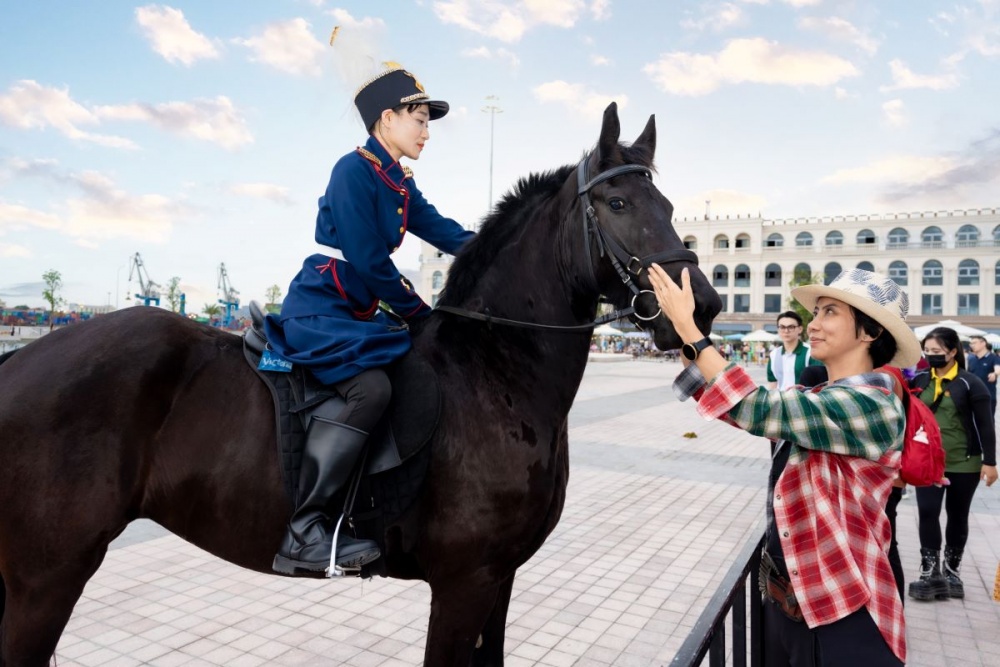Bộ sưu tập ngựa quý sẽ được ra mắt tại sự kiện khai trương kỹ thuật Vinpearl Horse Acedemy Vũ Yên ngày 1/6