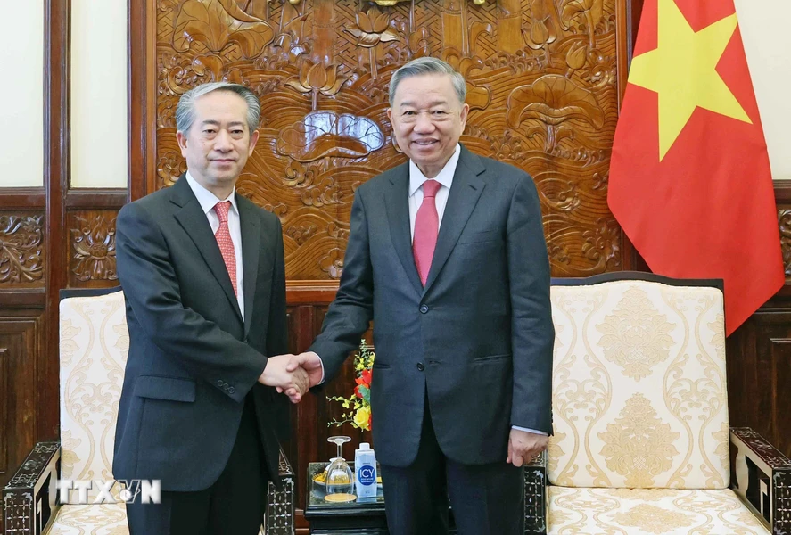 Chủ tịch nước Tô Lâm tiếp Đại sứ Trung Quốc Hùng Ba- Ảnh 1.