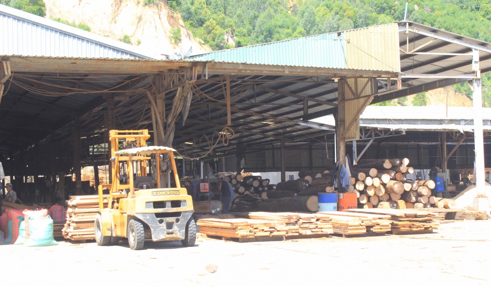 Chế biến, sản xuất sản phẩm gỗ xuất khẩu, một trong những thế mạnh cùa doanh nghiệp BÌnh Định.