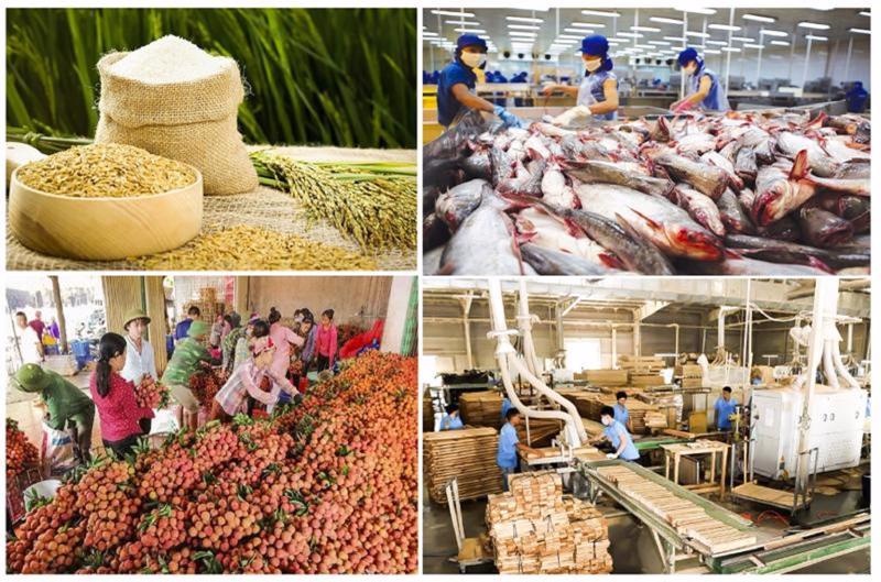 Xuất khẩu nông lâm thủy sản 6 tháng đầu năm đem về 29,2 tỷ USD, tăng 19% so với cùng kỳ 