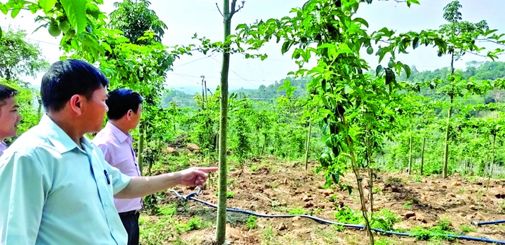 Tỉnh Đắk Lắk luôn quan tâm chỉ đạo việc huy động và tập trung các nguồn lực tài chính, đáp ứng nhu cầu vay vốn của người nghèo và các đối tượng chính sách khác