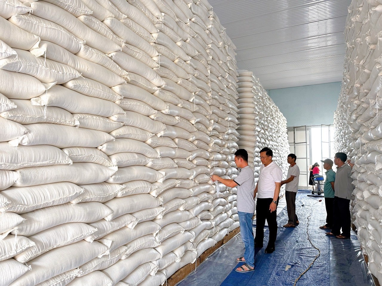 Phòng ngừa rủi ro ảnh hưởng lượng gạo dự trữ quốc gia