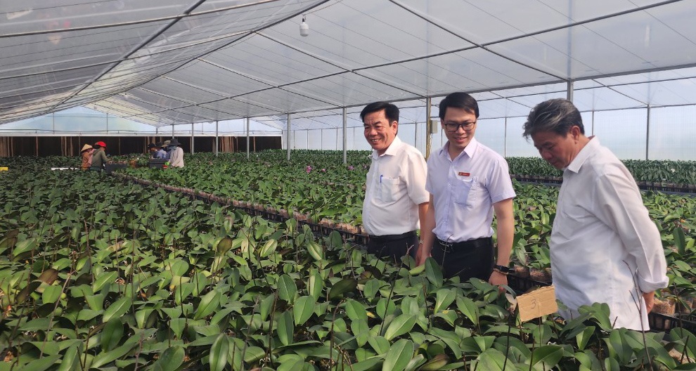 các đơn vị các đơn vị thuộc cụm thi đua đã triển khai các chính sách tín dụng phục vụ phát triển nông nghiệp, nông thôn.