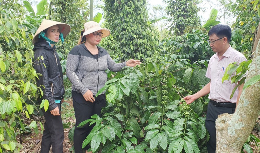 Tín dụng chính sách chắp cánh ước mơ